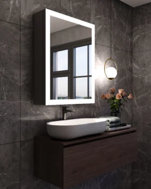 Biri illuminated mirror unit with storage