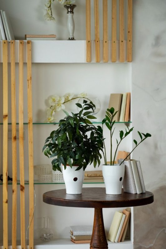 Wall shelves loaded with books and accessories