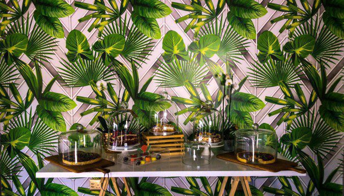 Attractive patterned wallpaper