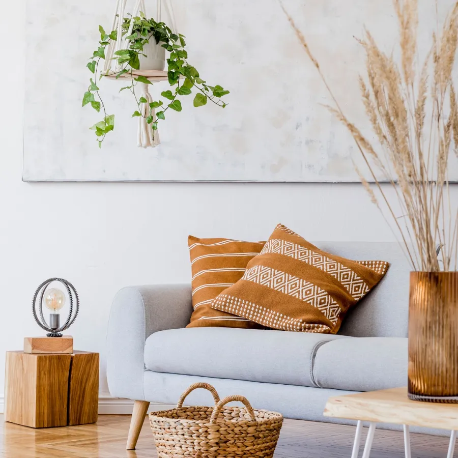 Inspiration for decorating small homes with plants in a cool way 1 374967.jpg