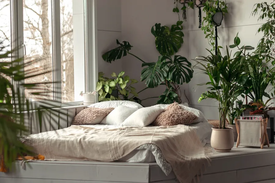 كيف يساهم التصميم البيوفيلي في خلق مساحات منزلية مريحة 2025 1 كيف يساهم التصميم البيوفيلي في خلق مساحات منزلية مريحة 2025