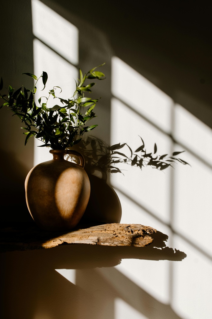تفاصيل في ديكور المنزل دالة على الطبيعة (الصورة من pexels)