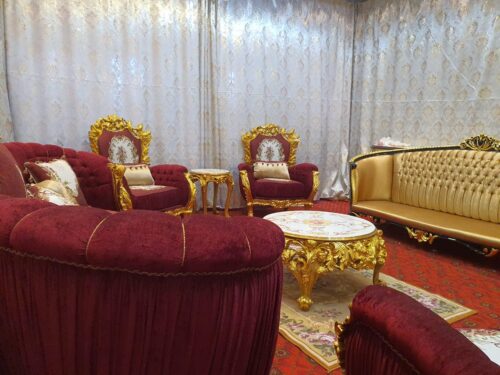 Parisian Regal Salon5