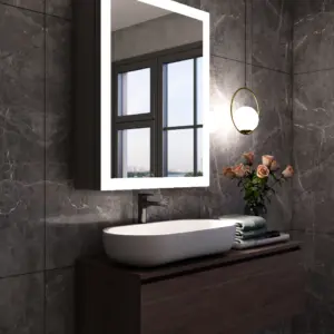 بيري وحدة مرايا مضيئة مع وحدة تخزين