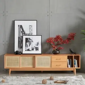 إيليفانت وحدة تلفاز راتان