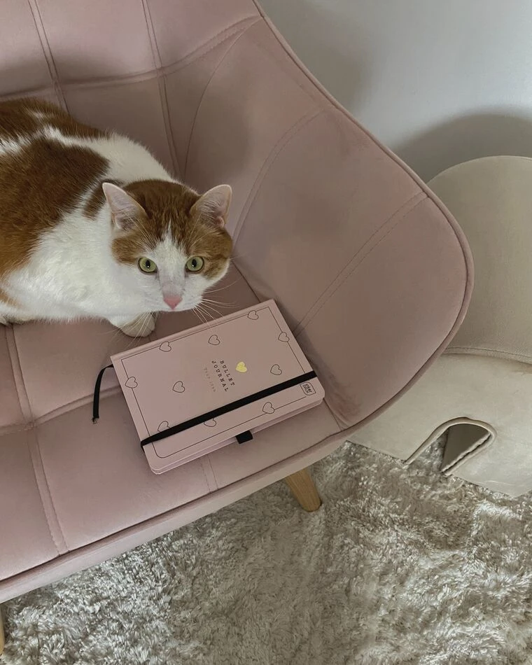 ڤيري كرسي فوتيه خشب طبيعي - الصورة 13