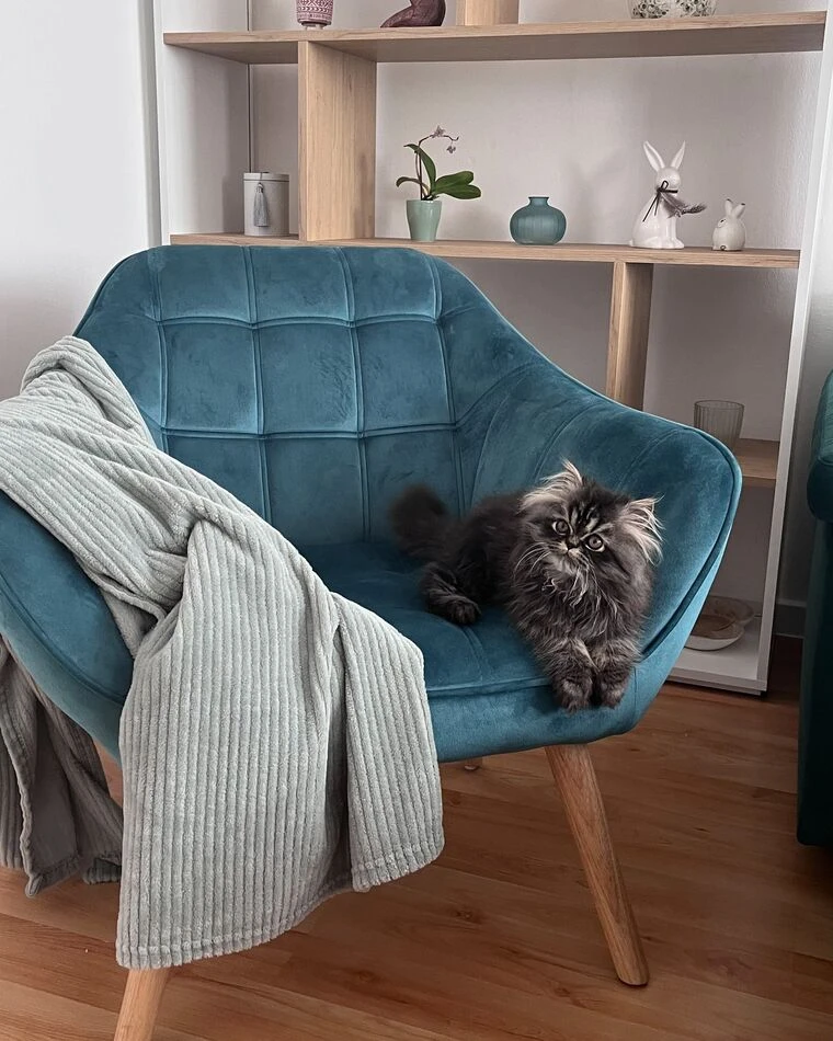 ڤيري كرسي فوتيه خشب طبيعي - الصورة 25